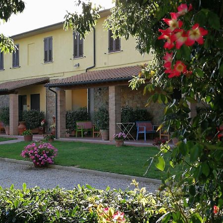 Agriturismo Il Cuscino Nel Pagliaio Campiglia Marittima Bagian luar foto