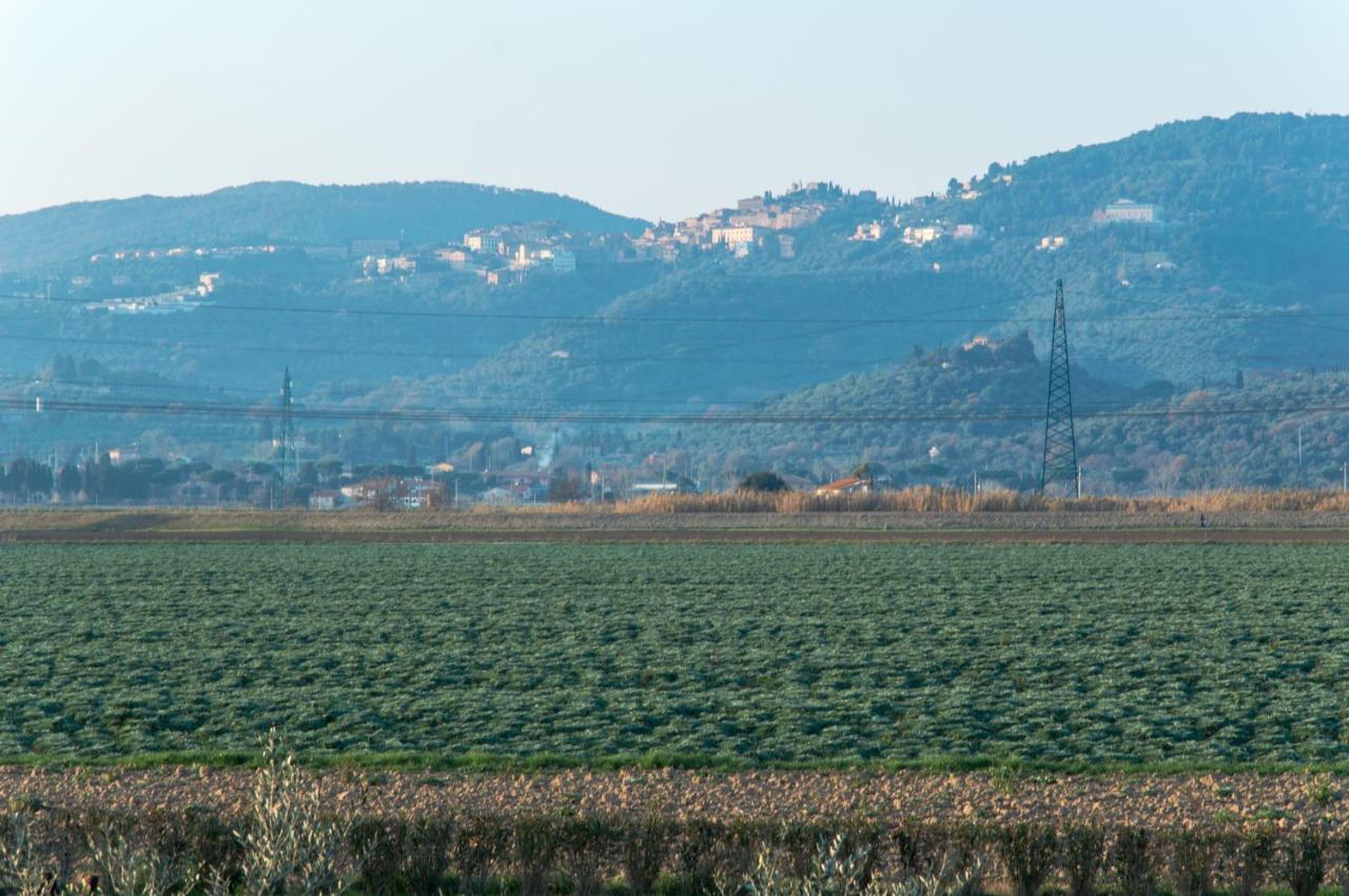 Agriturismo Il Cuscino Nel Pagliaio Campiglia Marittima Bagian luar foto