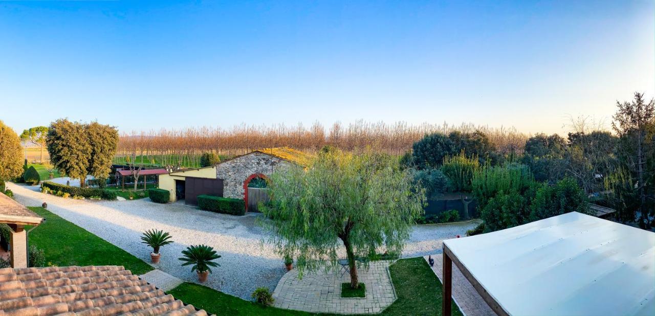 Agriturismo Il Cuscino Nel Pagliaio Campiglia Marittima Bagian luar foto