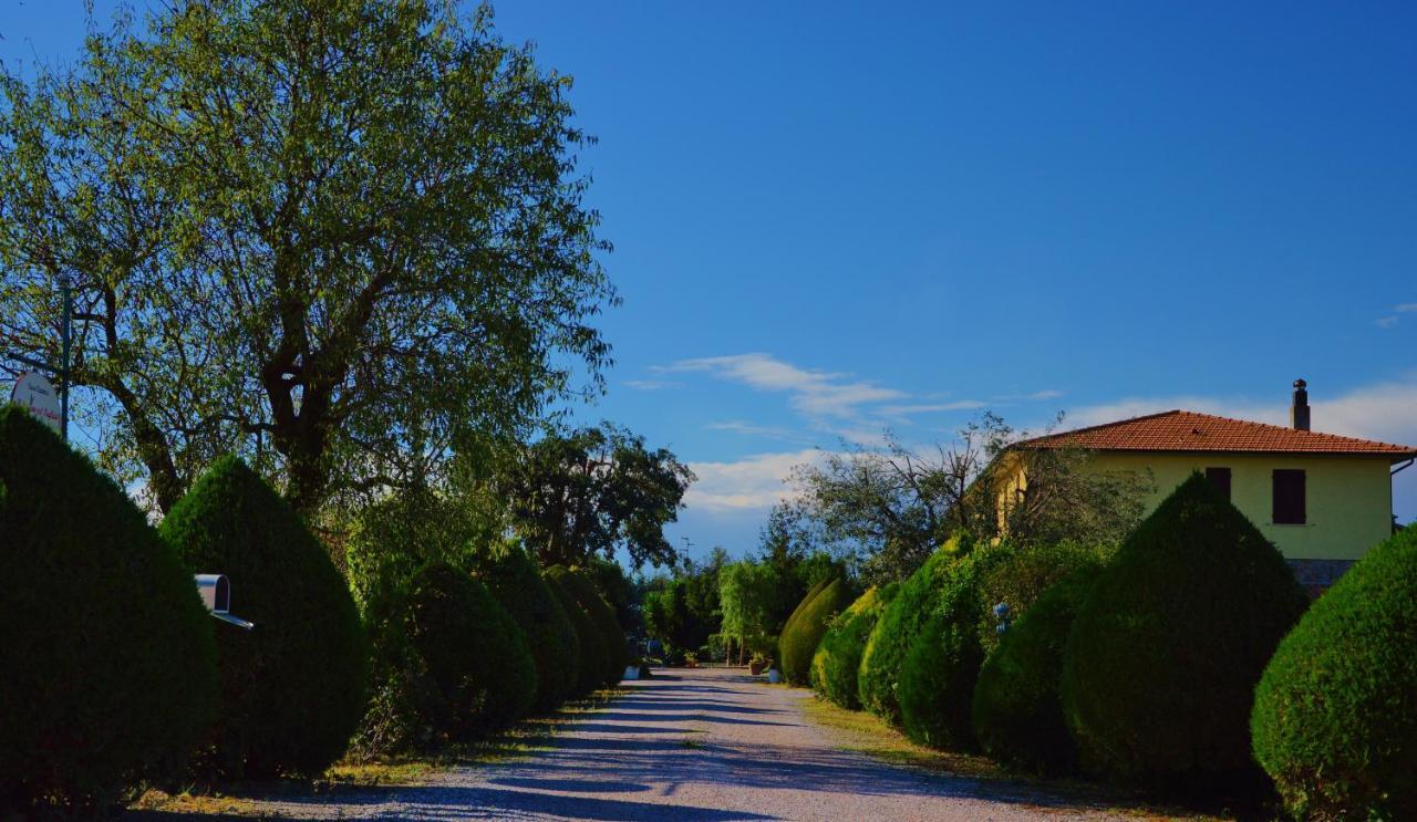 Agriturismo Il Cuscino Nel Pagliaio Campiglia Marittima Bagian luar foto