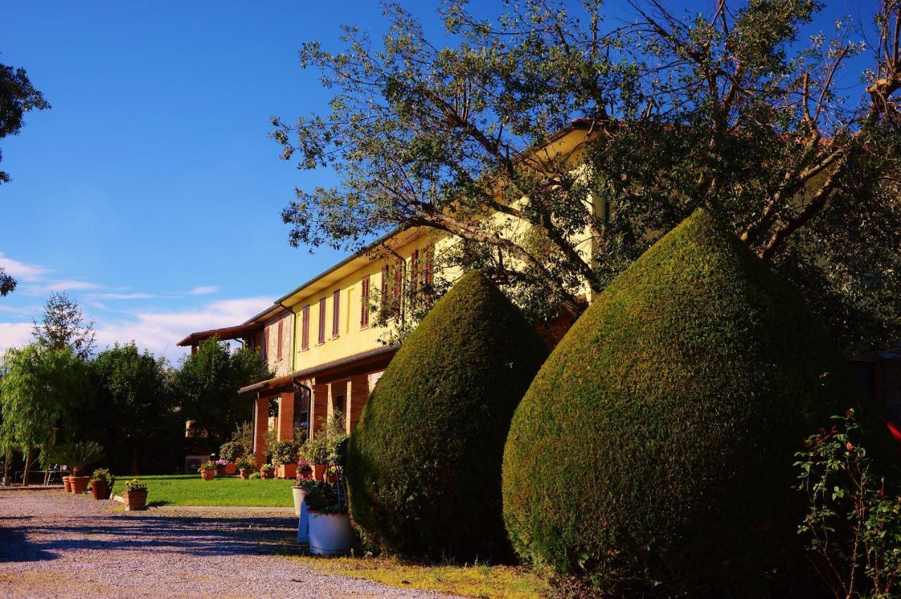 Agriturismo Il Cuscino Nel Pagliaio Campiglia Marittima Bagian luar foto