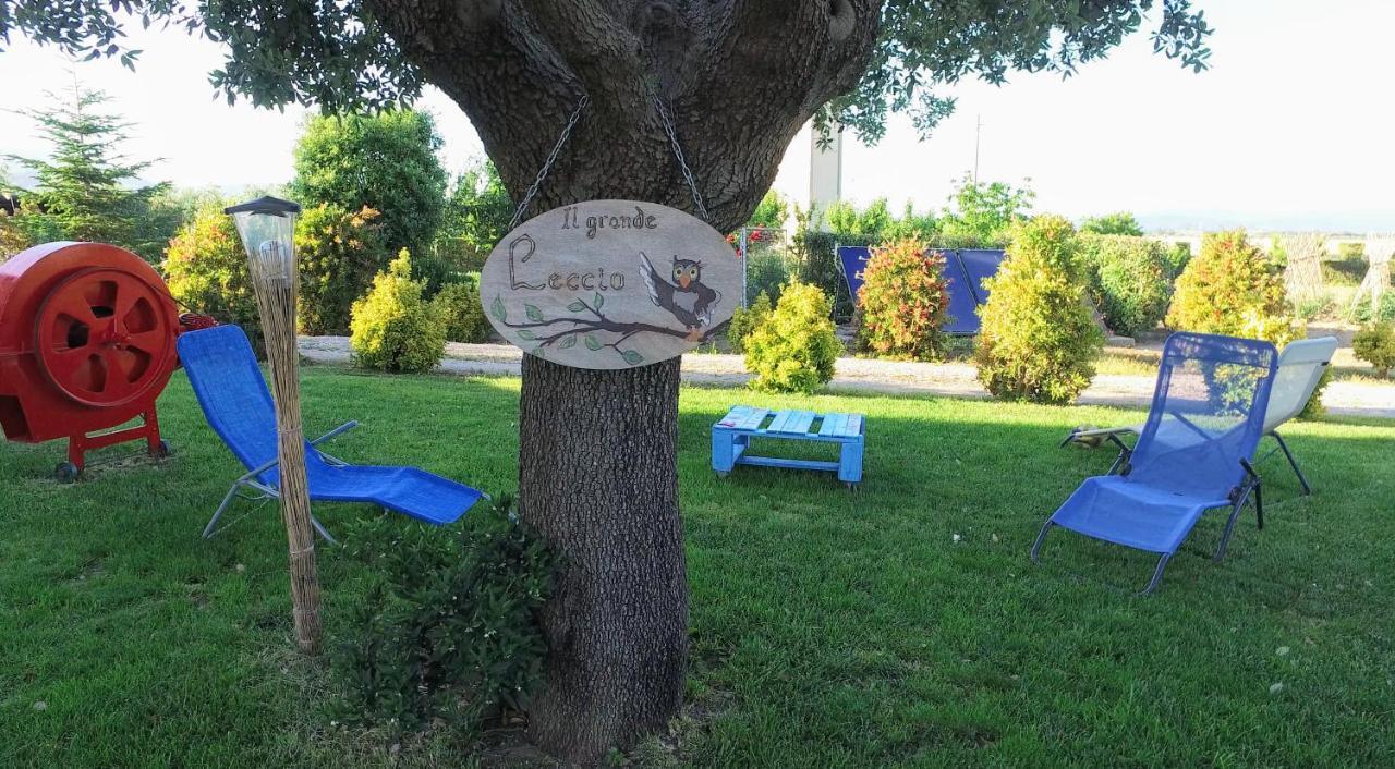 Agriturismo Il Cuscino Nel Pagliaio Campiglia Marittima Bagian luar foto