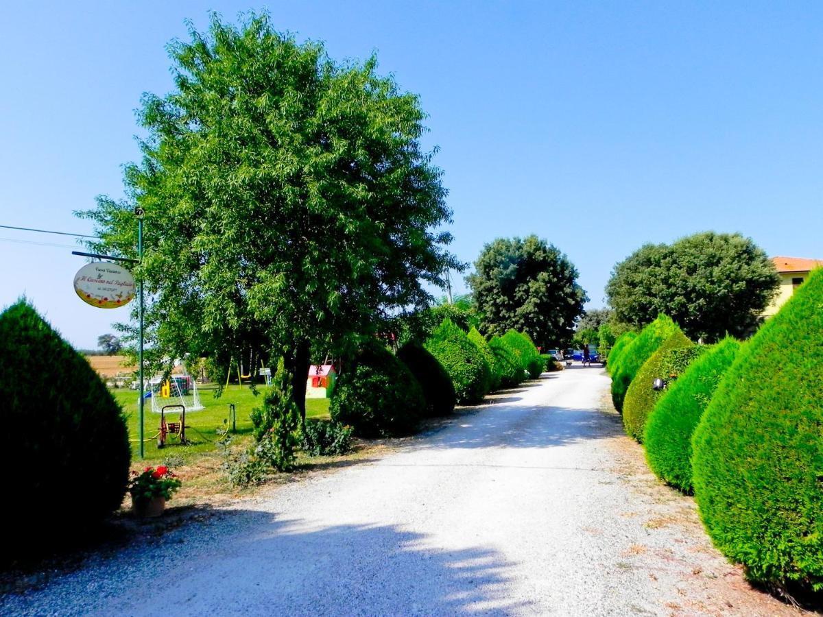 Agriturismo Il Cuscino Nel Pagliaio Campiglia Marittima Bagian luar foto