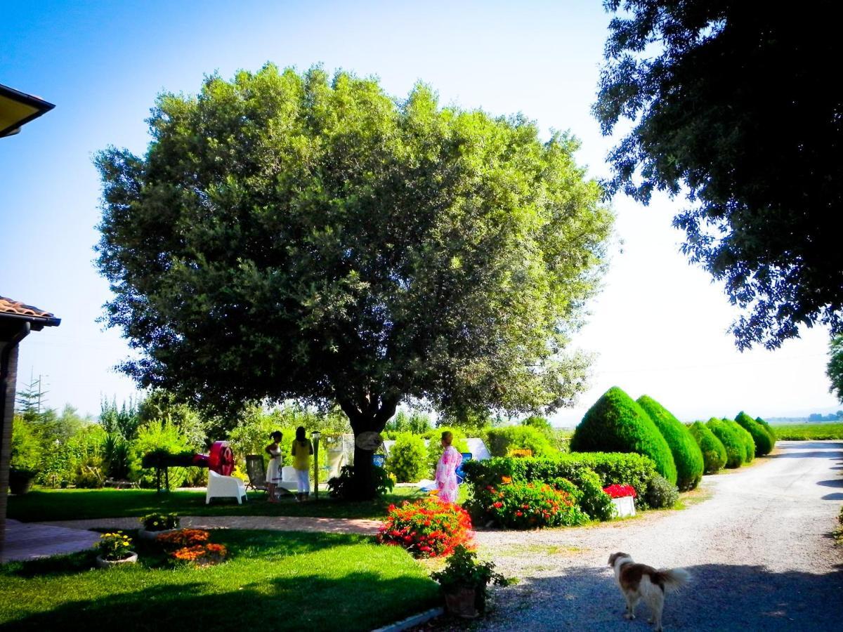 Agriturismo Il Cuscino Nel Pagliaio Campiglia Marittima Bagian luar foto