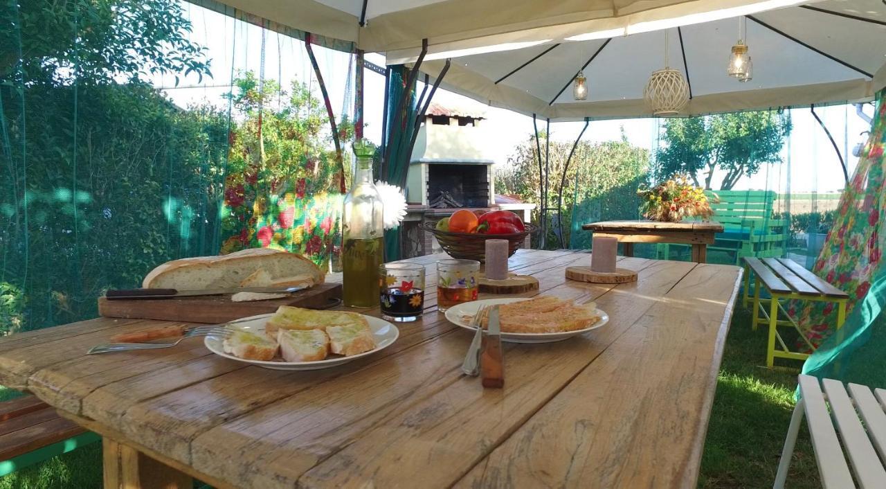 Agriturismo Il Cuscino Nel Pagliaio Campiglia Marittima Bagian luar foto