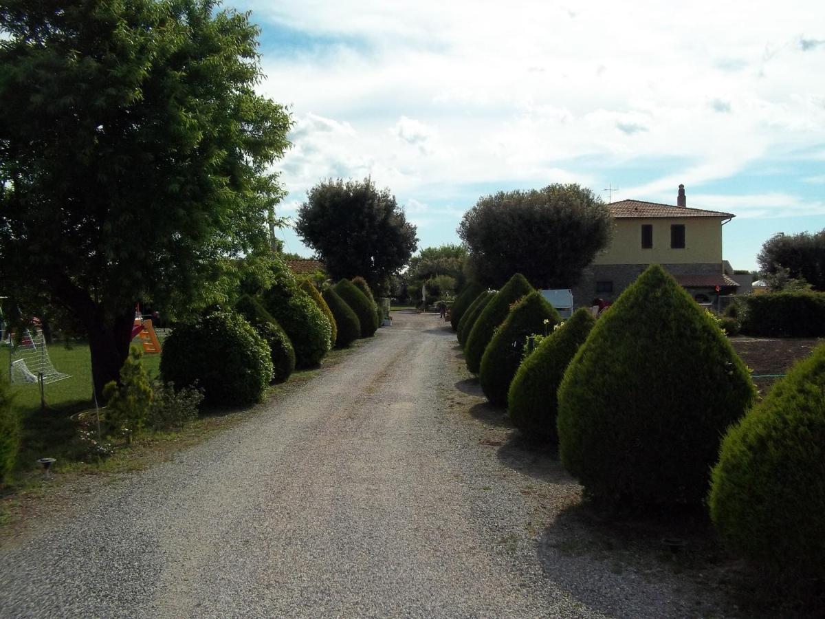 Agriturismo Il Cuscino Nel Pagliaio Campiglia Marittima Bagian luar foto