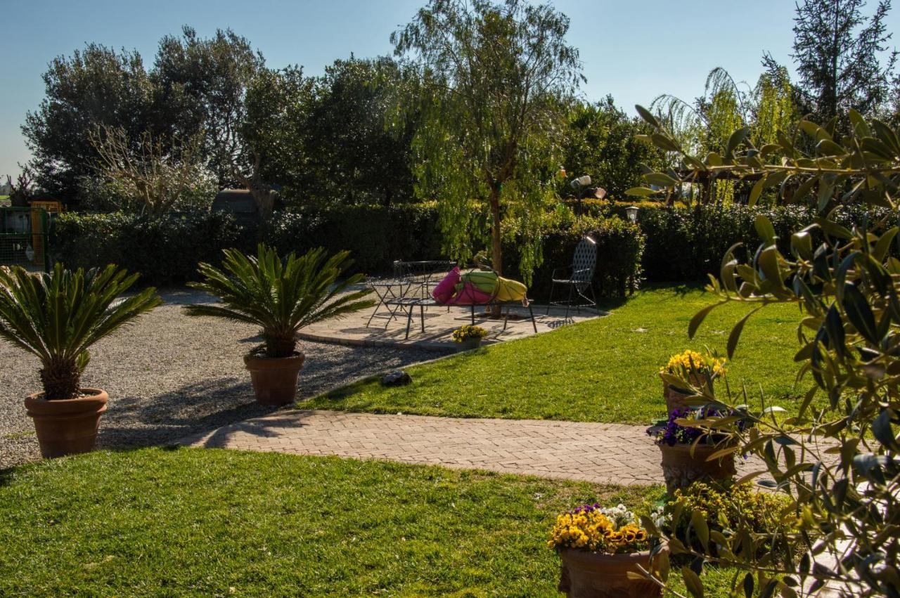 Agriturismo Il Cuscino Nel Pagliaio Campiglia Marittima Bagian luar foto